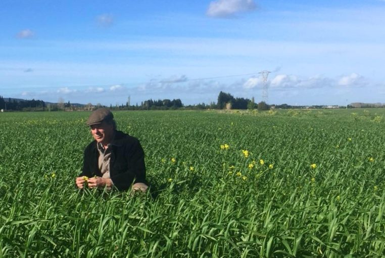 “The Time of Bread”: Meeting Henri de Pazzis