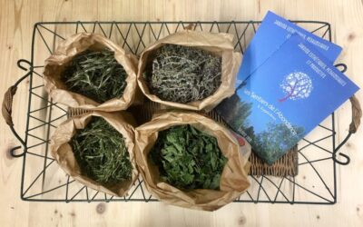 Herbal Teas from the Path of Abundance